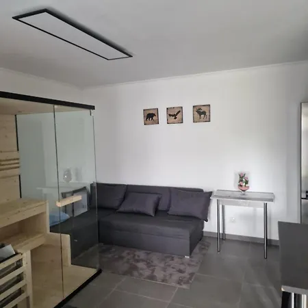 Ferienunterkunft Mit Whirlpool, Sauna Und Garten